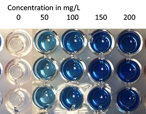 Blue pigment response at increasing YAN concentrations